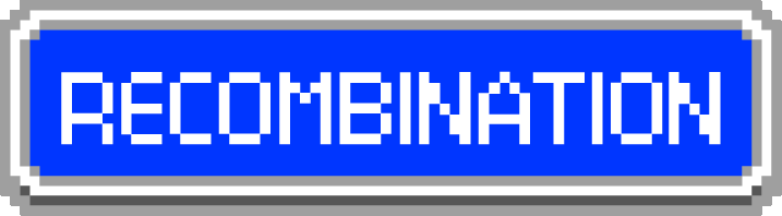 Recombination